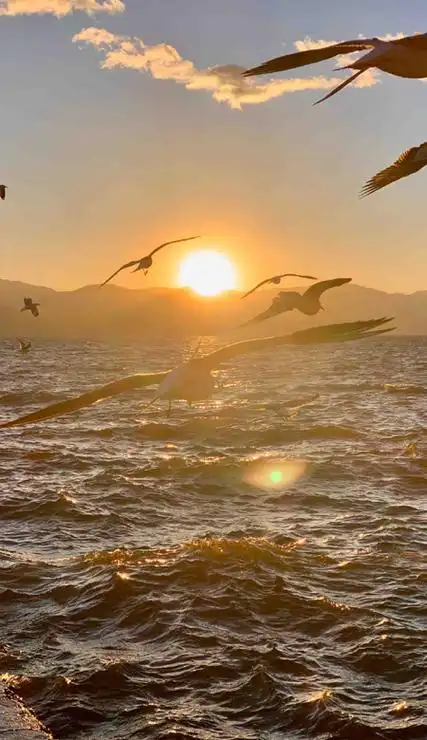 适合男生用的清新又很好看的壁纸很优质好看的风景壁纸合集