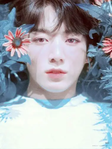 防弹少年团自制壁纸头像花样年华金硕珍jin