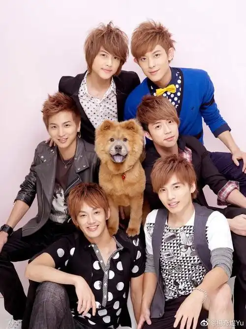 棒棒堂解散11年后有两位结婚当爸两位被淡忘敖犬王子仍活跃