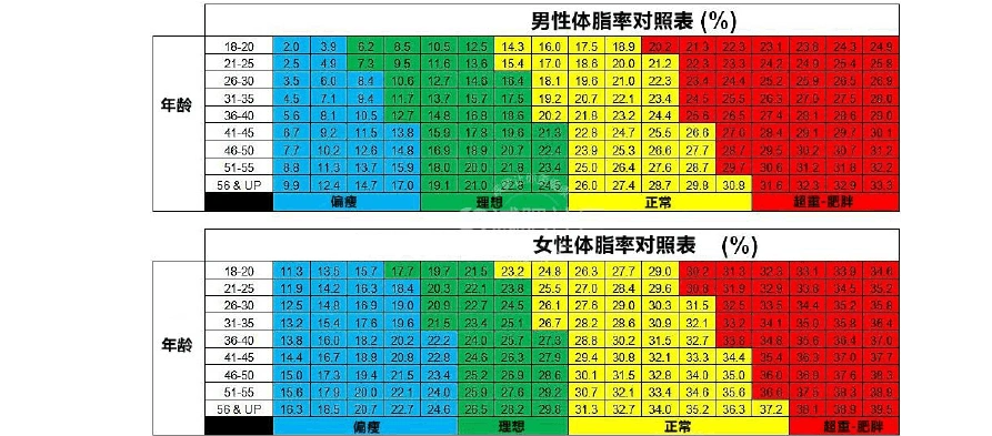 测测你的体脂率 附男女标准体脂率对照表