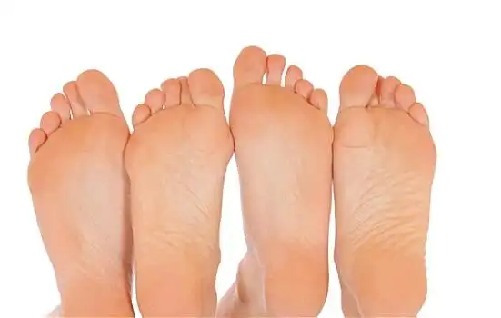 囊地鼠,石头,俄罗斯,堪察加半岛多毛,螃蟹躺在床上的情侣脚丫特写特写