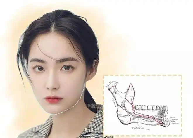 石原里美教你练成完美下颚线原来明星都是这样瘦脸的